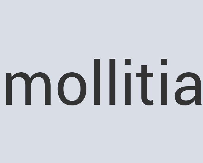 Awesome Leather My Concierge