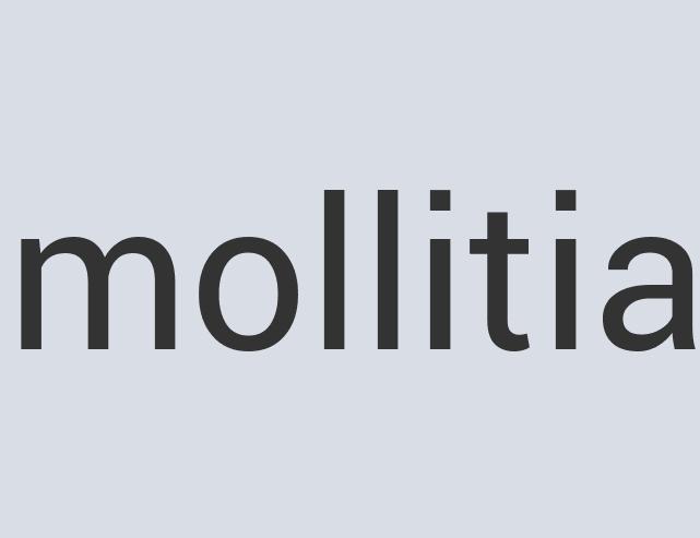 Aerodynamic Steel FastHook